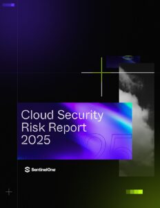 Cloud Security Risk Report 2025
